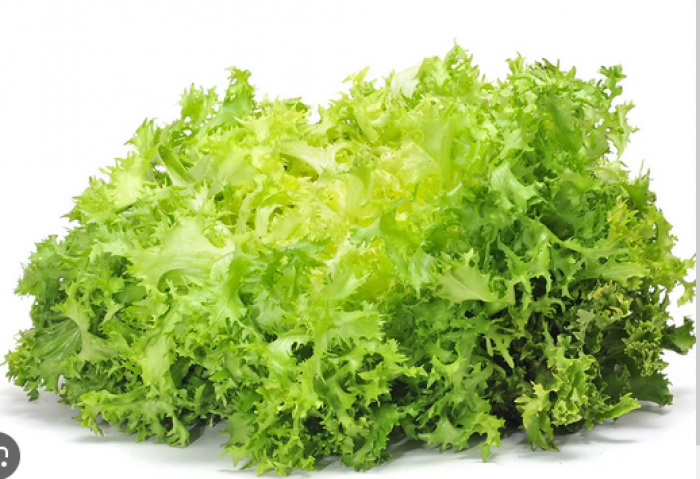 archivoESCAROLA 1.PNG